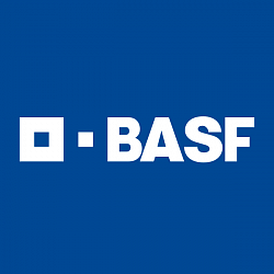 Компоненты ППУ Заливочные BASF